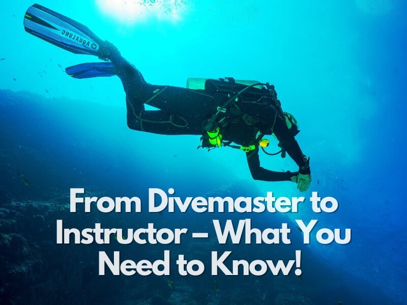 From Divemaster to Instructor – What You Need to Know!